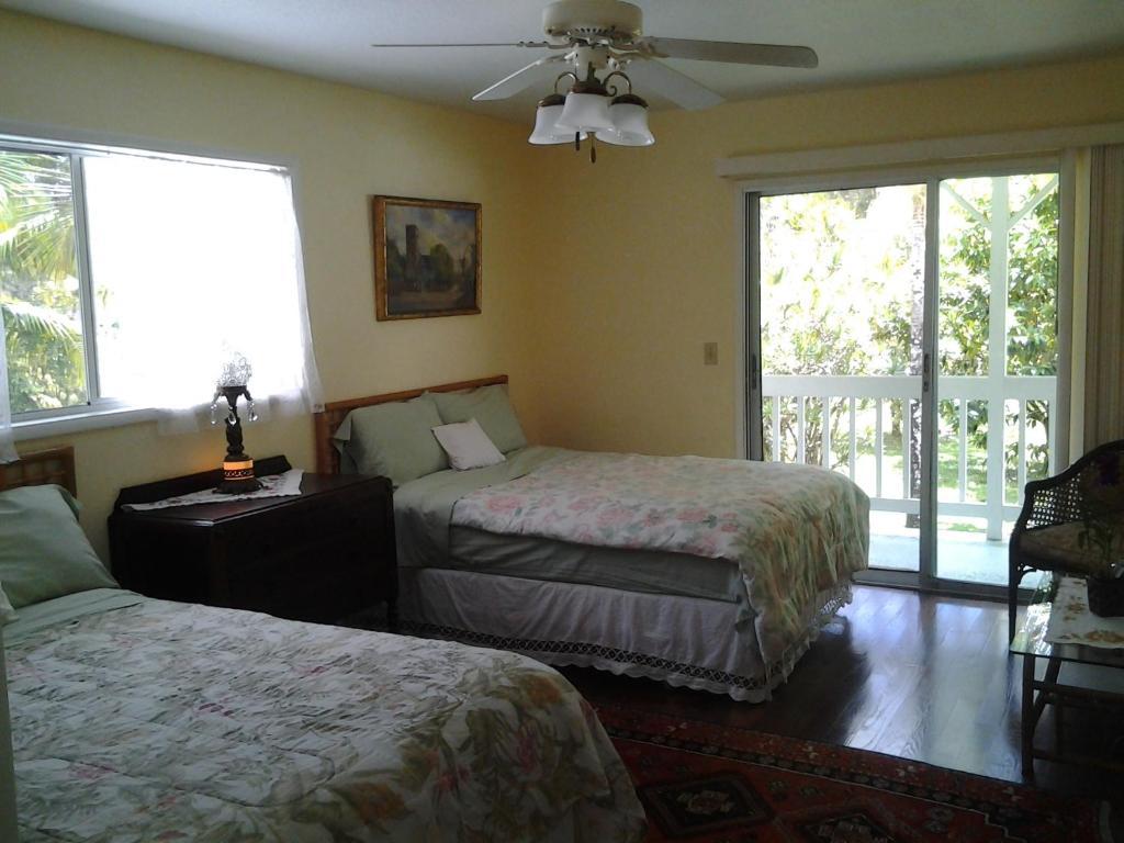 Lava Tree Tropic Inn Pahoa Номер фото