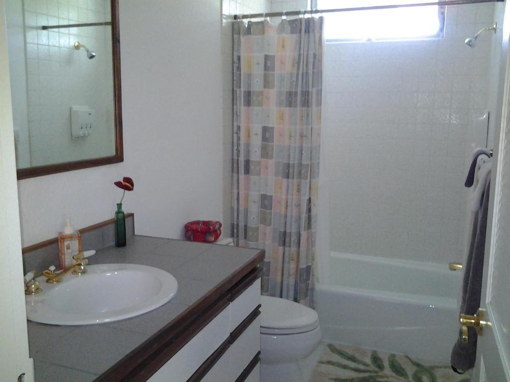 Lava Tree Tropic Inn Pahoa Номер фото