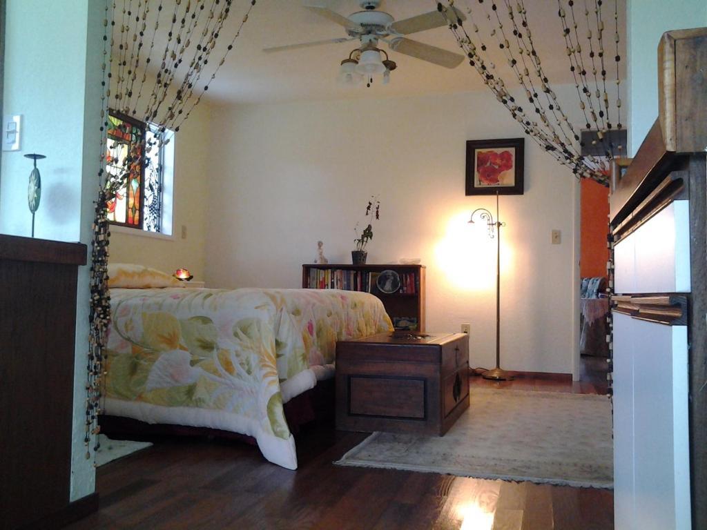 Lava Tree Tropic Inn Pahoa Экстерьер фото